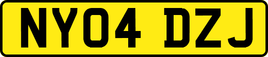 NY04DZJ
