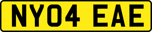 NY04EAE