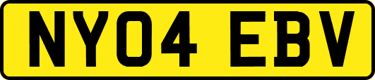 NY04EBV