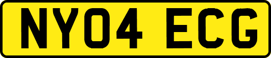 NY04ECG