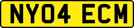 NY04ECM