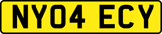 NY04ECY