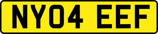 NY04EEF