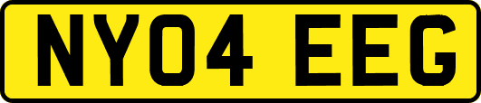NY04EEG