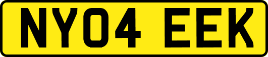 NY04EEK