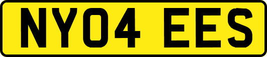 NY04EES