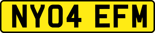 NY04EFM