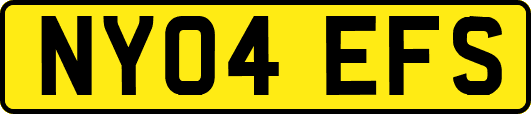 NY04EFS