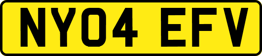 NY04EFV