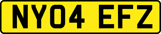 NY04EFZ