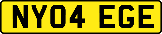 NY04EGE