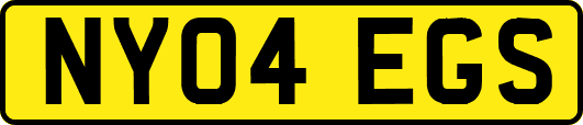 NY04EGS