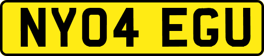 NY04EGU