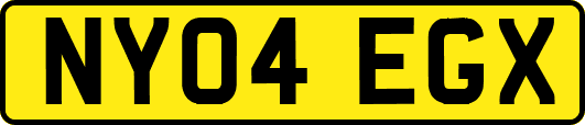 NY04EGX