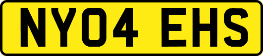 NY04EHS