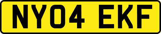 NY04EKF