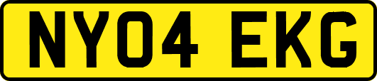 NY04EKG