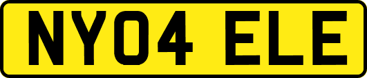 NY04ELE