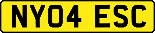 NY04ESC