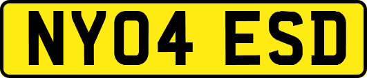 NY04ESD