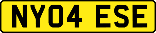 NY04ESE