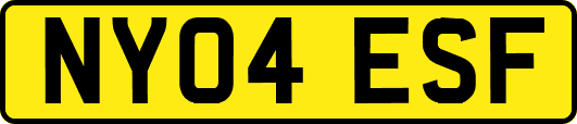 NY04ESF