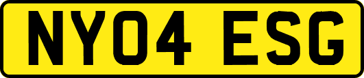 NY04ESG