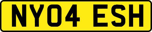 NY04ESH