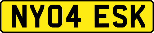 NY04ESK
