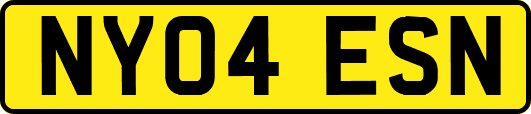 NY04ESN