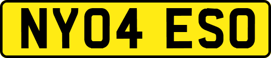 NY04ESO