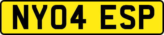 NY04ESP