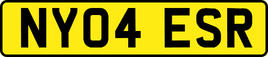 NY04ESR