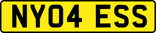 NY04ESS