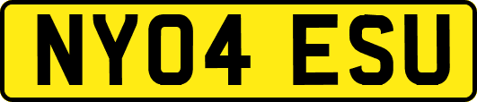 NY04ESU
