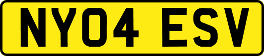 NY04ESV