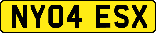 NY04ESX
