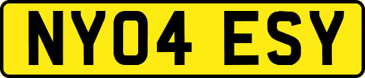 NY04ESY