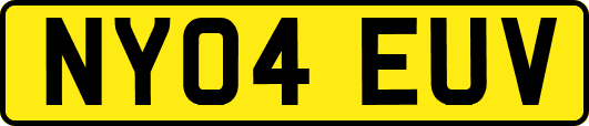 NY04EUV