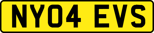 NY04EVS
