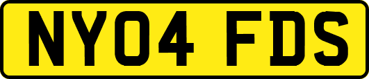 NY04FDS