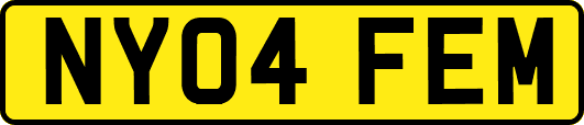 NY04FEM