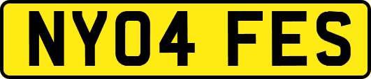 NY04FES