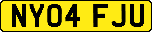 NY04FJU