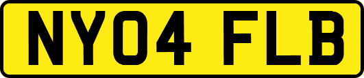 NY04FLB