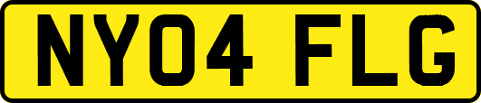 NY04FLG