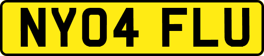 NY04FLU