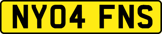 NY04FNS