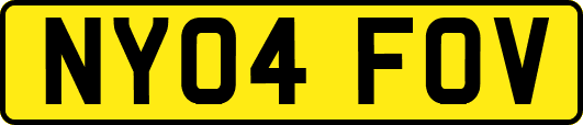 NY04FOV