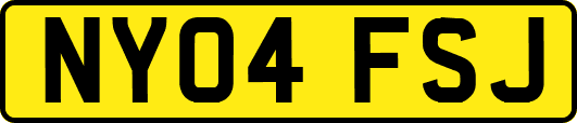 NY04FSJ